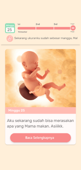 kehamilan chat 2